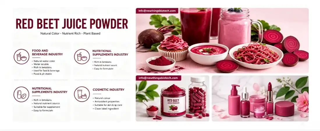 application for super beet root powder application for super beet root powder