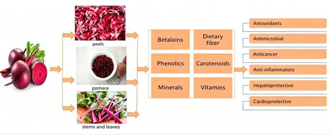advantage for beet juice concentrate powder advantage for beet juice concentrate powder