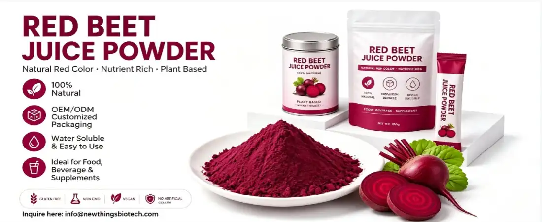what we can do with beet powder extract what we can do with beet powder extract