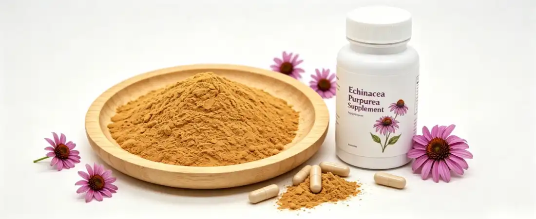 application for echinacea extract powder bulk