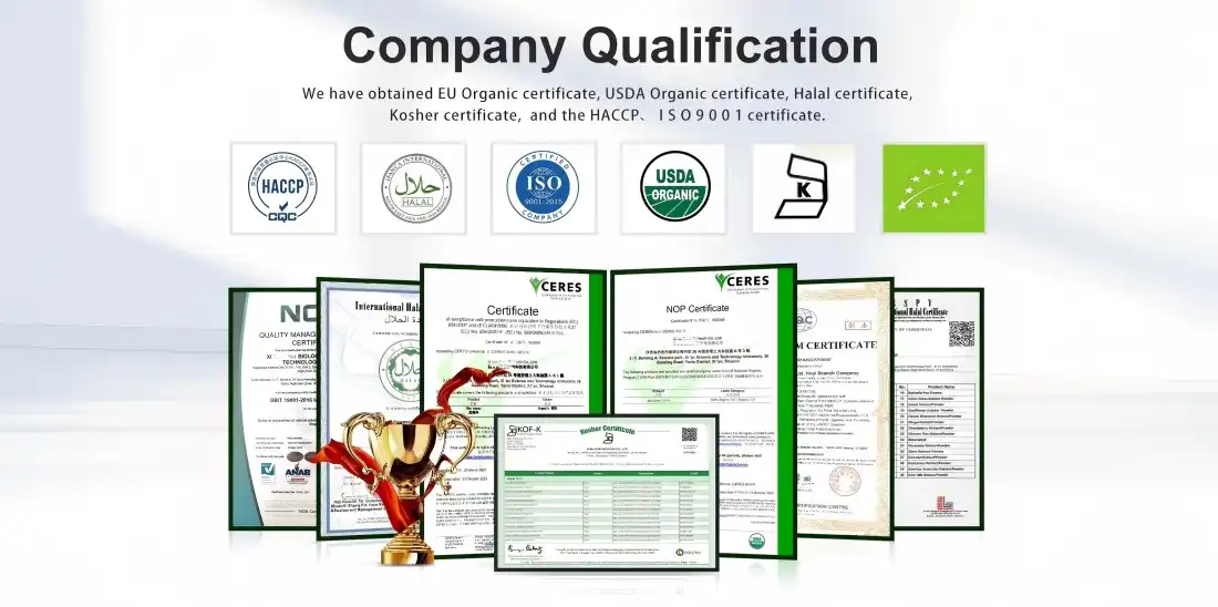 our certificate for echinacea extract powder bulk our certificate for echinacea extract powder bulk