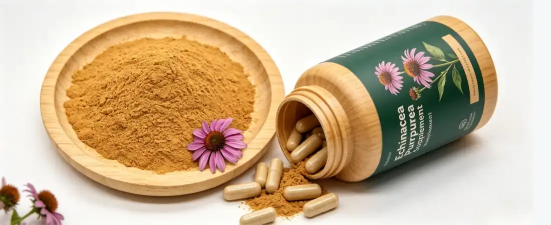 application for echinacea flower extract powder