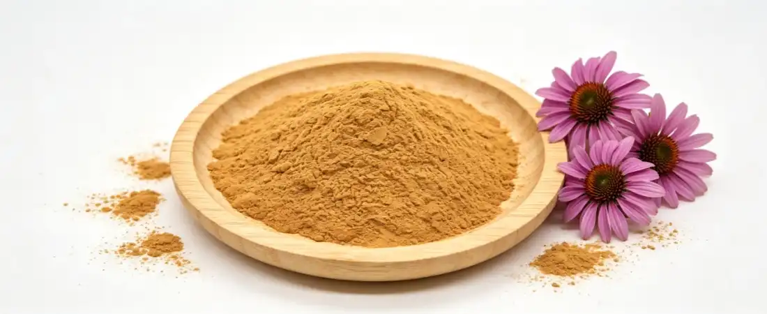 echinacea flower extract powder