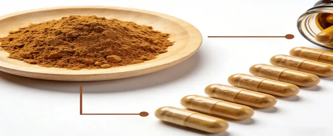 Maca Extract Powder for supplements