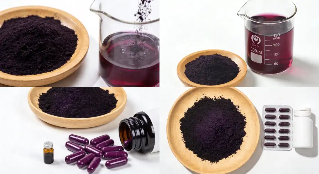 application for indigo fruit extract powder
