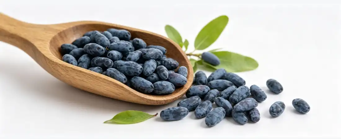 indigo fruit