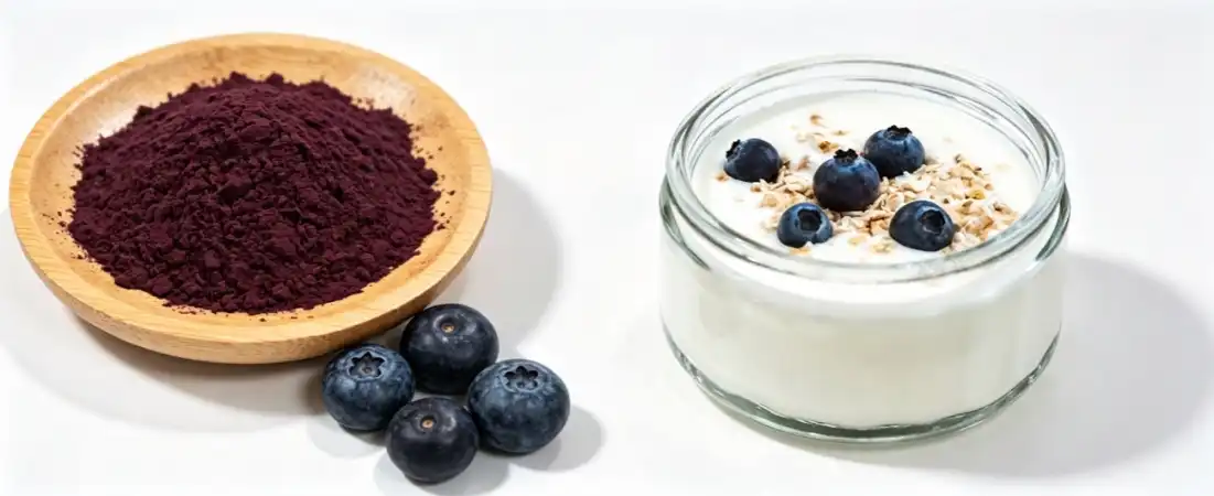 blueberry concentrate powder for snacks blueberry concentrate powder for snacks