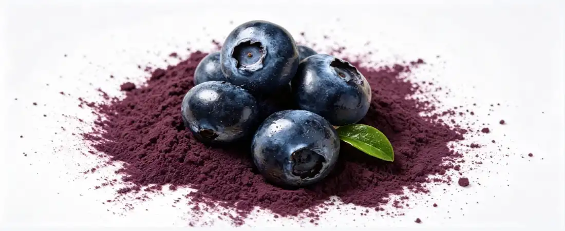  blueberry concentrate powder with Anthocyanin