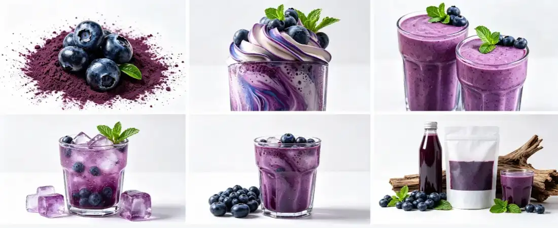 applicaiton for blueberry concentrate powder
