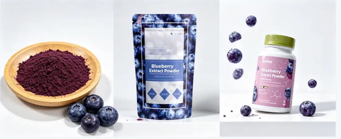 oem packing for blueberry concentrate powder