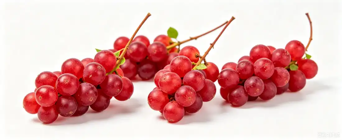 schisandra 