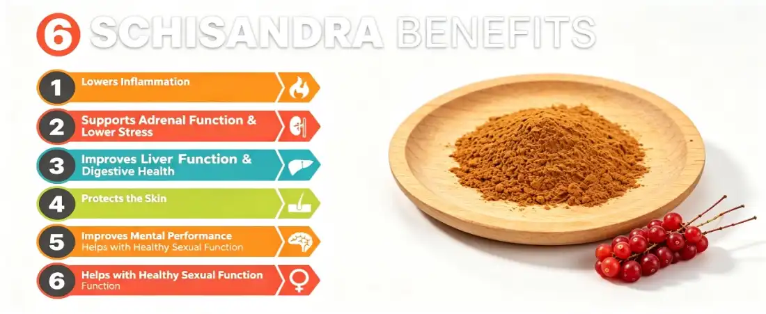 benefit for schisandra extract powder benefit for schisandra extract powder