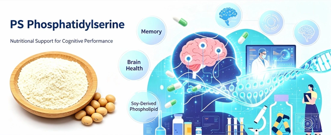 function for Phosphatidylserine Powder Bulk function for Phosphatidylserine Powder Bulk