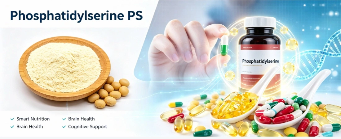 application for Phosphatidylserine Powder Bulk application for Phosphatidylserine Powder Bulk