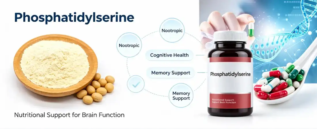 Why Phosphatidylserine Vegan Powder Is Gaining Attention