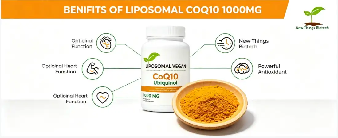 function for Bioactive Q10 ubiquinol powder function for Bioactive Q10 ubiquinol powder