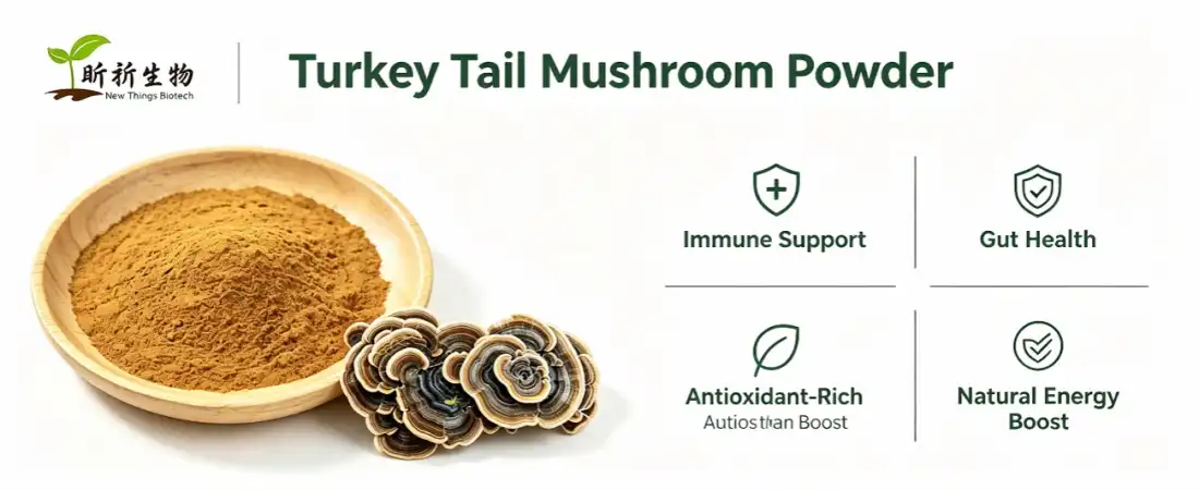 benefit for turkey tail mushroom powder benefit for turkey tail mushroom powder