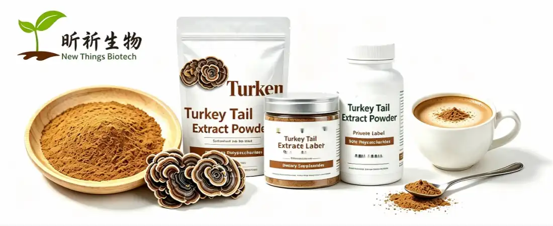 application for turkey tail mushroom powder bulk application for turkey tail mushroom powder bulk