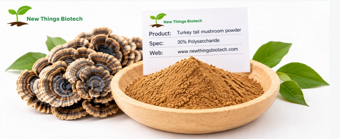 Turkey Tail Mushroom Powder Bulk Turkey Tail Mushroom Powder Bulk