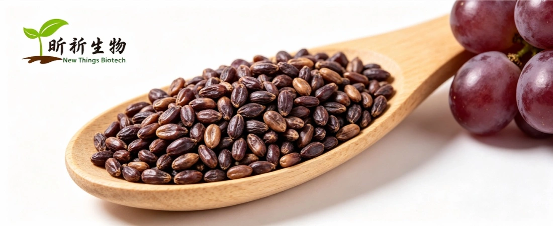 source for organic grapeseed extract powder