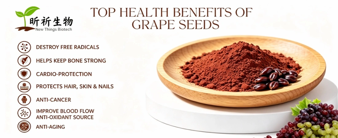 function for Pure Grape Seed Extract