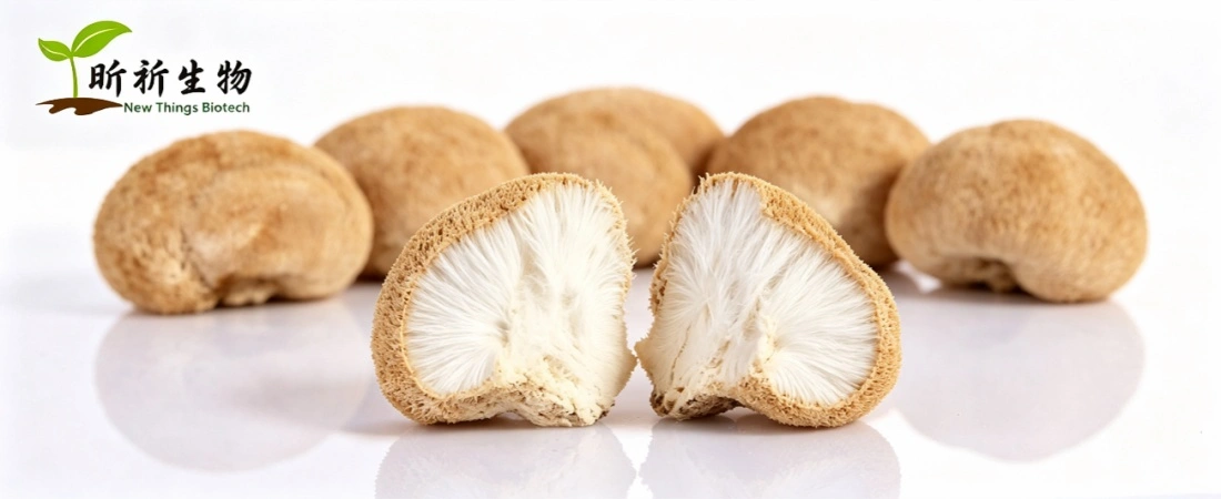 Lion's Mane Extract Bulk Lion's Mane Extract Bulk