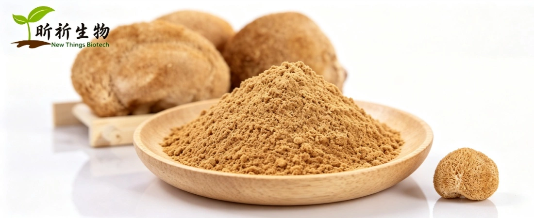 Lion's Mane Extract Bulk Lion's Mane Extract Bulk