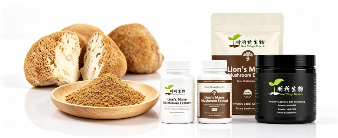 Application for Lion's Mane Extract Bulk Application for Lion's Mane Extract Bulk