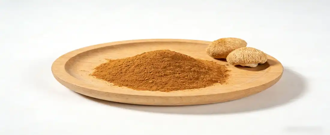 Lion's Mane Extract Bulk Lion's Mane Extract Bulk