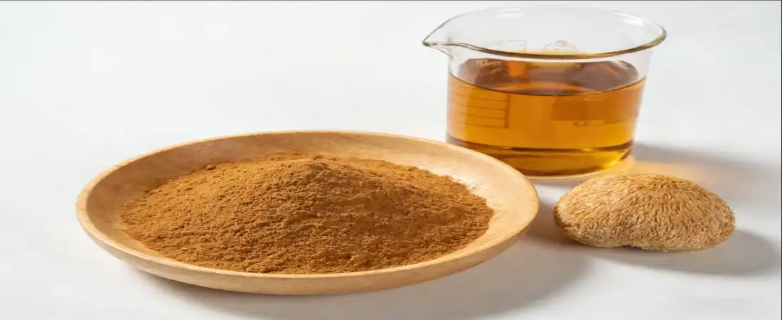 water soluble for Lion's Mane Extract Bulk