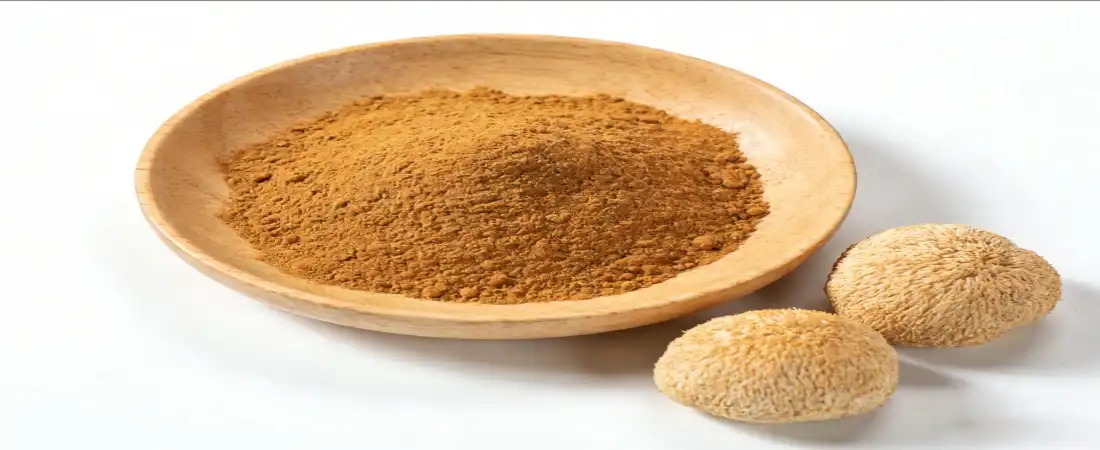 lion's mane mushroom powder bulk from fruiting body