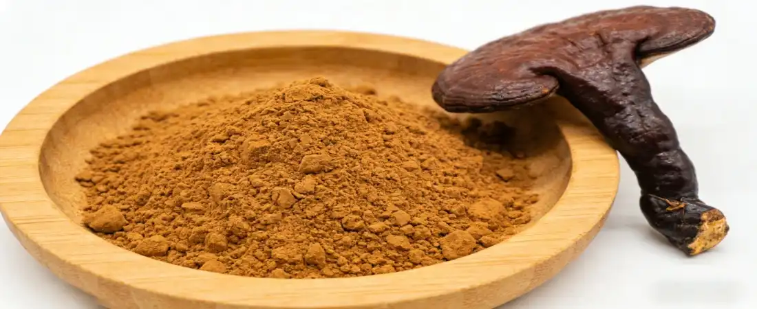 best reishi mushroom extract