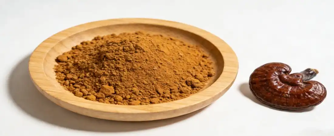 best reishi mushroom extract from reishi fruiting body
