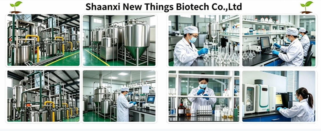 our factory our factory