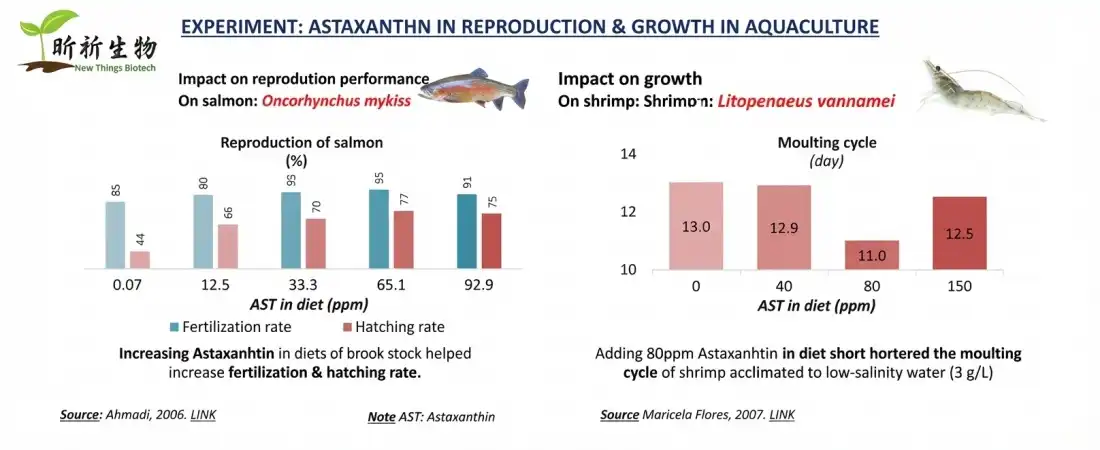 why use astaxanthin powder bulk why use astaxanthin powder bulk
