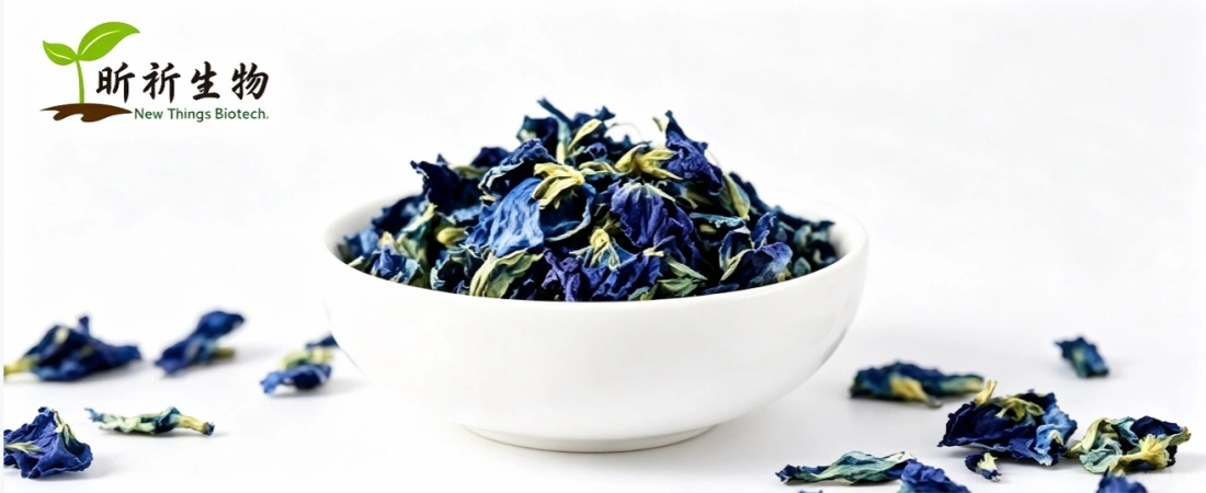 Blue Matcha Butterfly Pea Flower Blue Matcha Butterfly Pea Flower