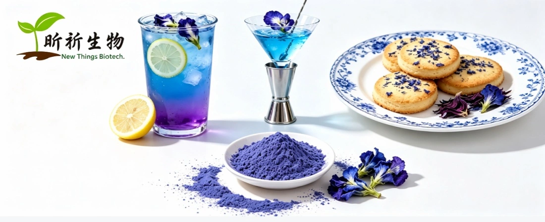 Application for Blue Matcha Butterfly Pea Flower Powder Application for Blue Matcha Butterfly Pea Flower Powder