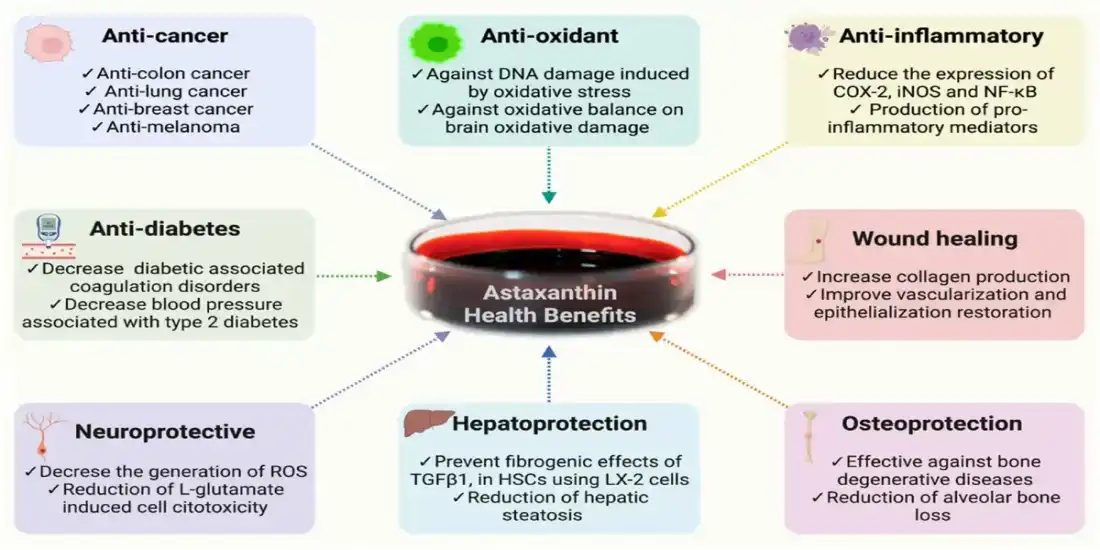 benefit for astaxanthin-enriched krill oil benefit for astaxanthin-enriched krill oil