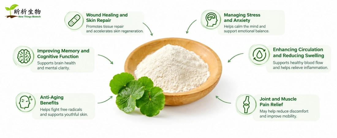 benefit for Gotu Kola Leaf Extract benefit for Gotu Kola Leaf Extract
