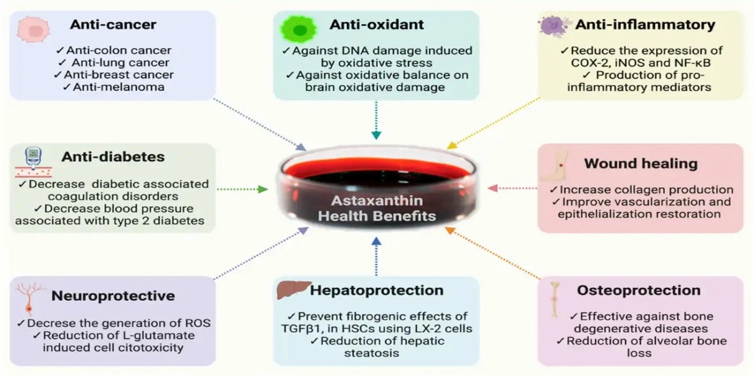 benefit for best krill oil with astaxanthin 