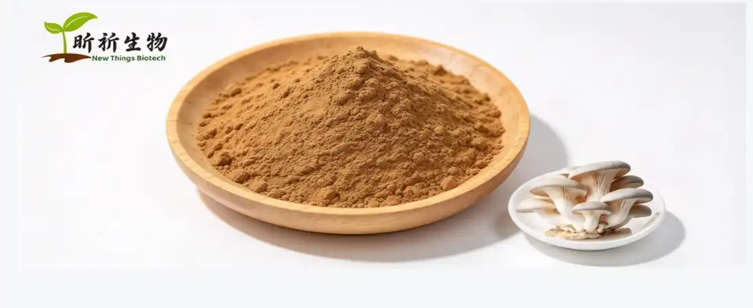 oyster mushroom extract