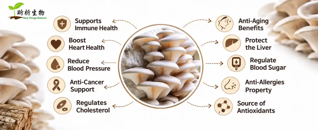 benefit for oyster mushroom extract
