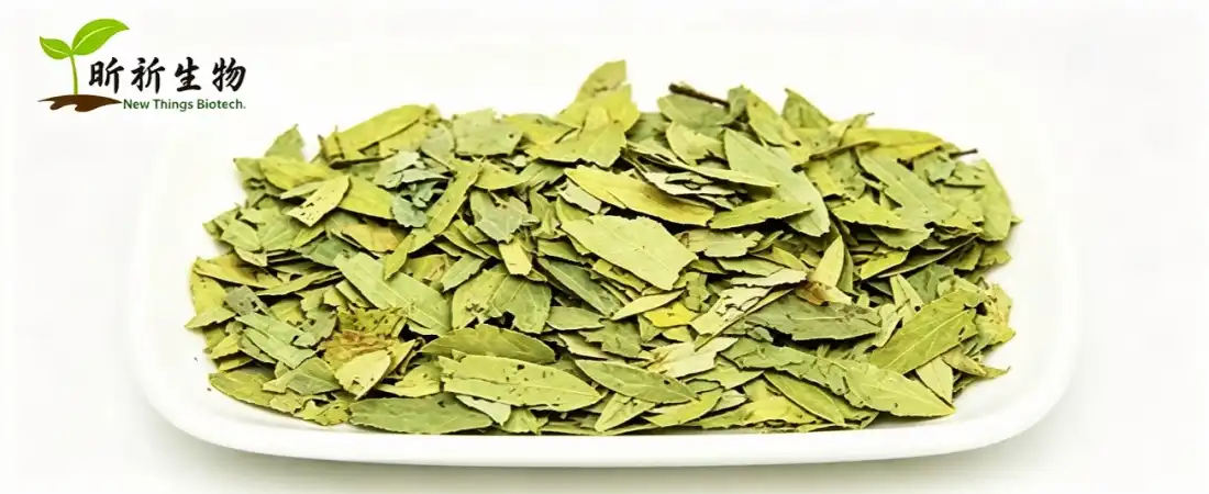senna leaf