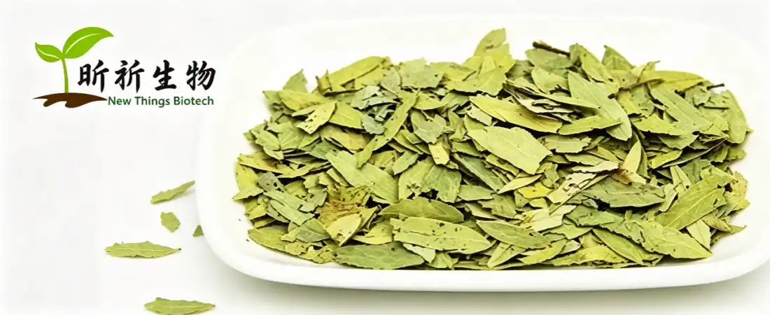 senna extract powder senna extract powder