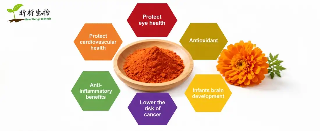 benefit for zeaxanthin microencapsulated powder benefit for zeaxanthin microencapsulated powder