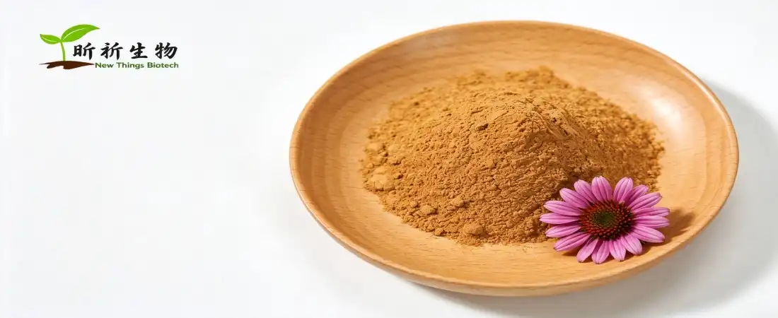 echinacea extract powder
