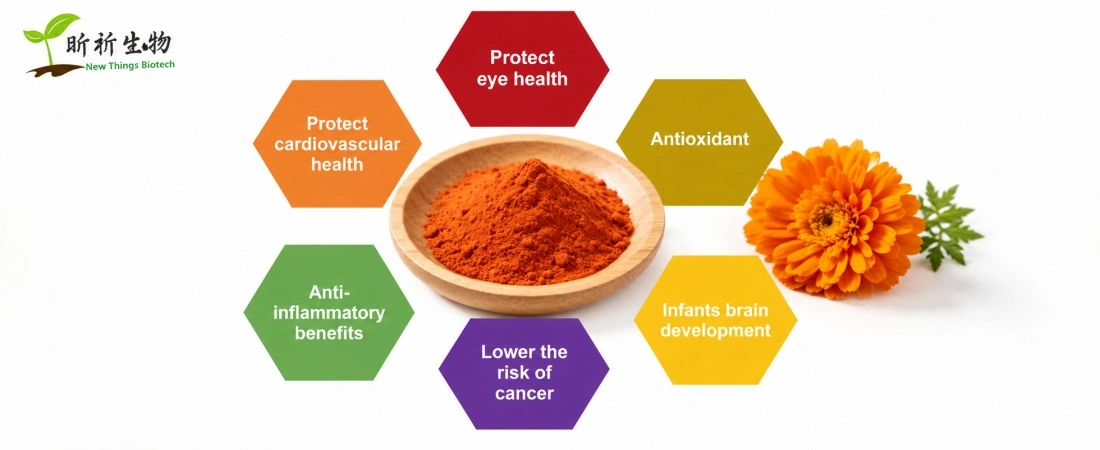 function for marigold extract lutein bulk function for marigold extract lutein bulk