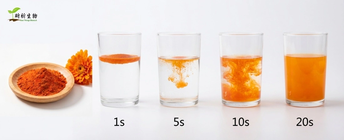 water soluble for Marigold extract powder water soluble for Marigold extract powder