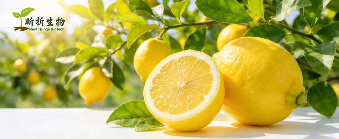 100% natural source for  dried lemon juice powder