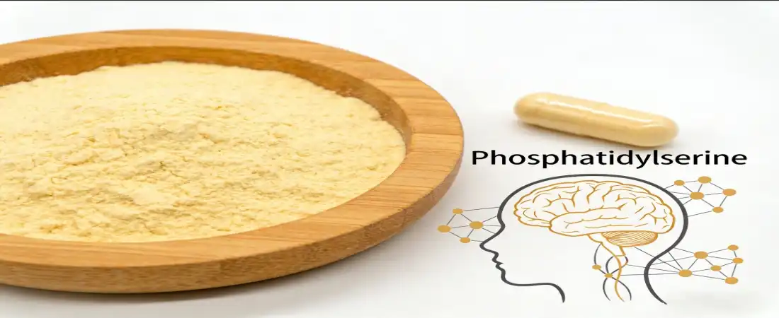 benefit for phosphatidylserine vegan powder